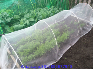 40mesh white anti Insect Net for greenhouse