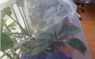 5 years usage 40x25 50x25 mesh anti insect net anti thrips mesh anti aphid net