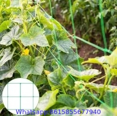 HDPE Orchard Plastic Support Trellis Net Vegetable Net Garden Tomato Climbing Net for Creeper Plants Crop