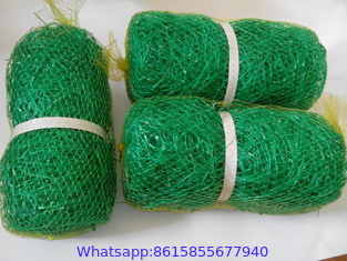 HDPE Extruded Pea Netting 8G/M2 10G/M2 Vegetable Climbing Plant Support Trellis Net