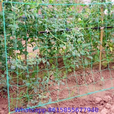 Trellis Netting 48″ x 16′