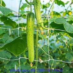 Trellis Netting Plant Support Net Lattice Panel