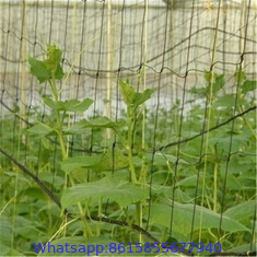 Netting Garden Durable Nylon Trellis Net Support Climbing Plant Vine Support