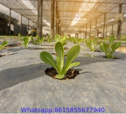 100% virgin PP PE black weed control mat anti-grass ground cover in roll for garden greenhouse