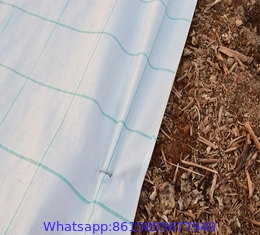 100% virgin PP PE black weed control mat anti-grass ground cover in roll for garden greenhouse