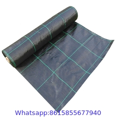 china best price mulch weedmat fabric anti weed mat/weed control ground cover