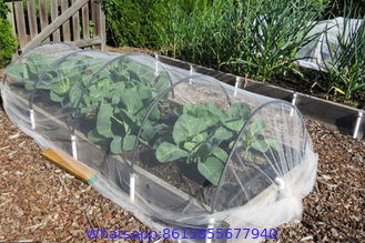 anti insect repel protection net HDPE 40 50 mesh 45g 60g 70g agricultural insect net
