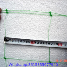 pea and bean trellis netting