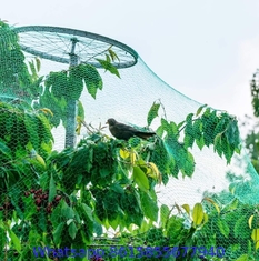 Green Gardener Protection PE Plant Support Grow Mesh Net,Anti Bird Mesh Netting