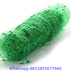 Garden Nylon Trellis Netting Support Climbing Bean Plant Nets Grow Fence