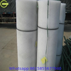 Plastic flat breed mesh net for poultry