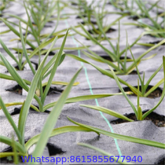 6x50ft Landscape Fabric Weed Barrier Ground Cover Garden Mats for Weeds Block in Raised Garden Bed Patio, Lawn & Garden