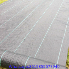 Premium Weed Barrier Landscape Fabric Ground Cover Heavy Duty Commercial Anti-Weed Gardening Mat 3ft x 33ft Green