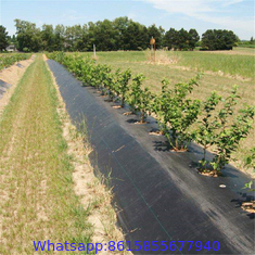 Weed Barrier Garden Landscape Weed Control Membrane Fabric Ground Cover Barrier Block Mat : Patio, Lawn & Garden