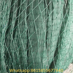 High Quality Blue Diamond Debris/Safety/Construction Breed/Breeding/Fishing Net for Philippine