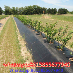 2022 new products  weed barrier