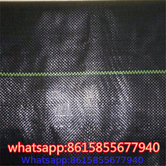 Best Sellers in Weed Barrier Fabric