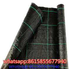 PP Weed Barrier Fabric to Amazon