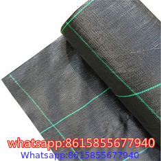 PP Weed Barrier Fabric to Amazon