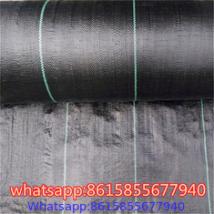 PP Weed Barrier Fabric to Amazon