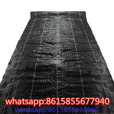 PP Weed Barrier Fabric to Amazon