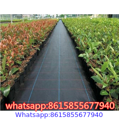 Landscape Fabric - Weed Barrier Cloth supplier in China