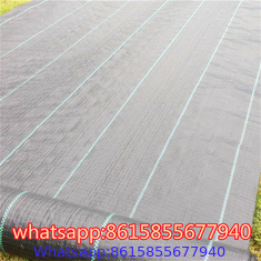 Landscape Fabric - Weed Barrier Cloth supplier in China