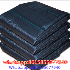 Landscape Fabric - Weed Barrier Cloth supplier in China