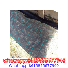 Landscape Fabric - Weed Barrier Cloth supplier in China