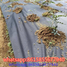 Landscape Fabric - Weed Barrier Cloth supplier in China