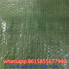 Garden Weed Barrier Landscape Fabric supplier in China