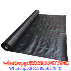 Garden Weed Barrier Landscape Fabric supplier in China