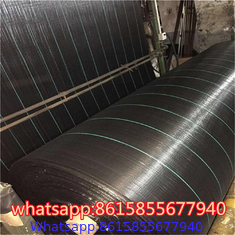 Garden Weed Barrier Landscape Fabric supplier in China