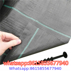 Garden Weed Barrier Landscape Fabric supplier in China