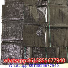 Garden Weed Barrier Landscape Fabric supplier in China