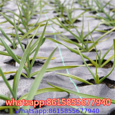 Weed Barrier | Weed Block Pro Weed Mat - Gardener Supply