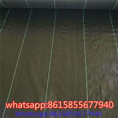 China factory of Weed Control & Ground Covers