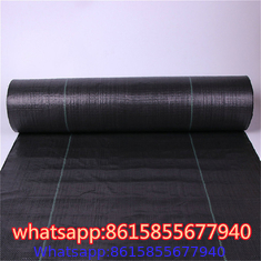 China factory of Weed Control & Ground Covers