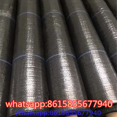 China factory of Weed Control & Ground Covers