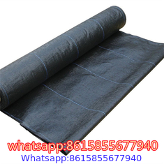 China factory of Weed Control & Ground Covers