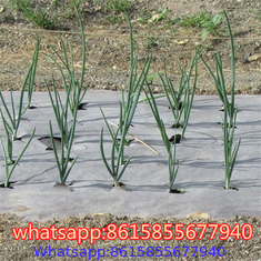 China factory of Weed Control & Ground Covers