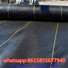 chinese factory of Landscape Fabric & Weed Barriers