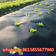 chinese factory of Landscape Fabric & Weed Barriers