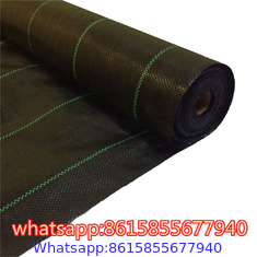 PP Ground Cover is also called anti grass cloth, weed control fabric, anti weed mat, weed barrier.