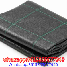 PP Ground Cover is also called anti grass cloth, weed control fabric, anti weed mat, weed barrier.