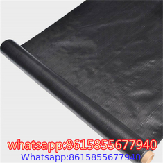 PP Ground Cover is also called anti grass cloth, weed control fabric, anti weed mat, weed barrier.