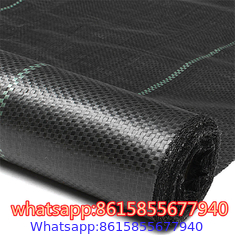 PP Ground Cover is also called anti grass cloth, weed control fabric, anti weed mat, weed barrier.