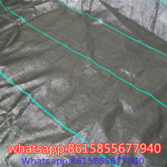 PP Ground Cover is also called anti grass cloth, weed control fabric, anti weed mat, weed barrier.