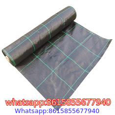 Weed block 1*100m polyethylene landscape fabric,garden ground cover weed control mat,black anti grass woven weed barrier