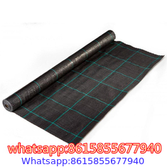 Black/Green/White PP/PE/Plastic Woven Geotextile/Ground Cover/Anti Weed Barrier/Control Mat for Agriculture/Garden/Lands